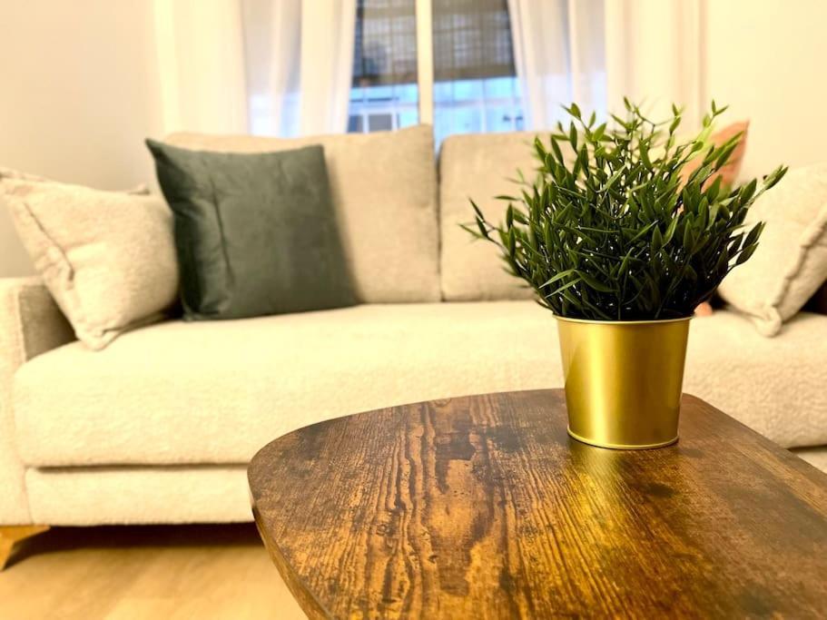 Апартаменты Elegancia Junto Al Rectorado. Кордова Экстерьер фото